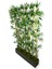 Bambu Seperatör 180 cm 9 Adet Bambu 100 cm Antrasit Saksı 4