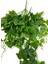 Yapay Hedera Sarmaşık 9 Dal 100 cm 3