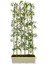 Bambu Seperatör 175 cm 6 Adet Bambu 72 cm Beyaz Saksı 3