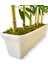 Bambu Seperatör 175 cm 6 Adet Bambu 72 cm Beyaz Saksı 5