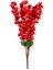Kırmızı Bahar Dalı Demet 60 cm 2