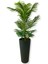 Areka 150 cm 12 Yaprak Yapay Ağaç 56X30X20 Antrasit Kumsal Saksı 1
