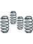 Pro-Kit Honda Civic Fc / Fk 1.5 Turbo 30MM Spor Helezon Yay E10-40-036-04-22 2