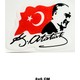 Seçili Renk Renkli