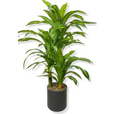 Dracaena Fragrans 3 Gövde Yapay Ağaç 160 cm Siyah 30X30 Galvaniz Saksı