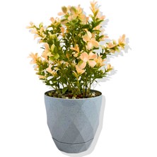 Yapay Mini Saksıda Pudra Pembe Şimşir 28 cm Açık Mavi Saksı