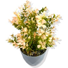 Yapay Mini Saksıda Pudra Pembe Şimşir 28 cm Açık Mavi Saksı