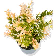 Yapay Mini Saksıda Pudra Pembe Şimşir 28 cm Açık Mavi Saksı