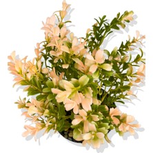 Yapay Mini Saksıda Pudra Pembe Şimşir 28 cm Açık Mavi Saksı