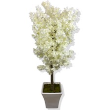 Kırık Beyaz Begonvil 180 cm Yapay Ağaç Beyaz Kare Saksı