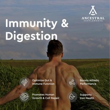 Ancestral Supplements New Zealand & Australia Grassfed Beef Colostrum 180 Kapsül Hormone Pecticide & Gmo Free