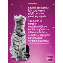 Whıskas Tavuklu Kedi Yaş Mama 10 Adet (1X85GR)