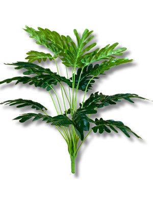 18 Dal Devetabanı Bitki 60 cm