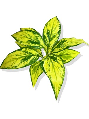 Yıldız Çiçeği Sarı Yapay Bitki 30 cm