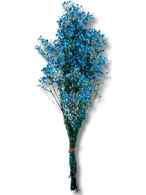 Mavi Kuru Cipso 50 cm