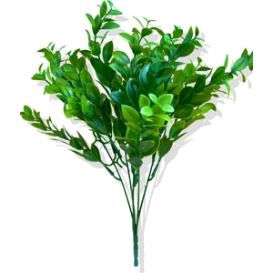 Yapay Yeşil Ruscus Bitkisi 40 cm 5 Dal