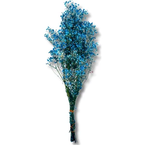 Mavi Kuru Cipso 50 cm