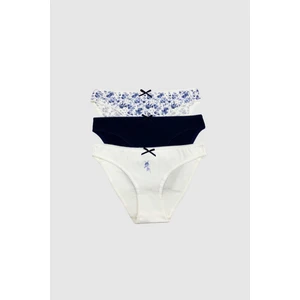 Pierre Cardin 3'lü Ekonomik Paket Skylıght 2700 Pamuklu Basic Desenli Brief Külot