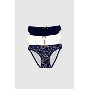 Pierre Cardin 3'lü Ekonomik Paket Paradıse 2700 Pamuklu Basic Desenli Brief Külot