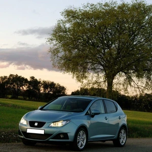 Sağ Ön Kapı Iç Açma Kolu Mat Gri Seat Ibiza 2009-2017 6J1837114G