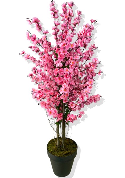 Yapay Ağaç Pembe Bahar Dalı 160 cm Siyah Saksı