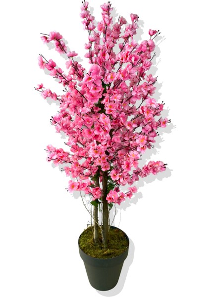 Yapay Ağaç Pembe Bahar Dalı 160 cm Siyah Saksı fiyatları