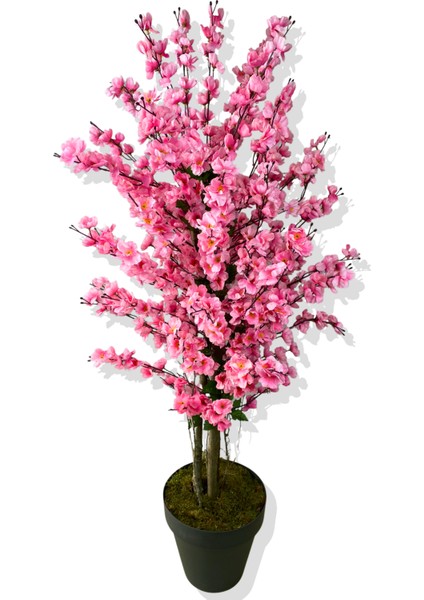 Yapay Ağaç Pembe Bahar Dalı 160 cm Siyah Saksı fırsatları