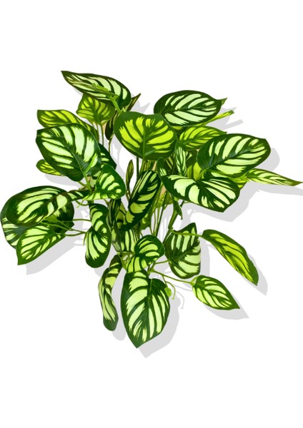 Salon Sarmaşığı Beyaz Yapay Bitki 45 cm 5 Dal