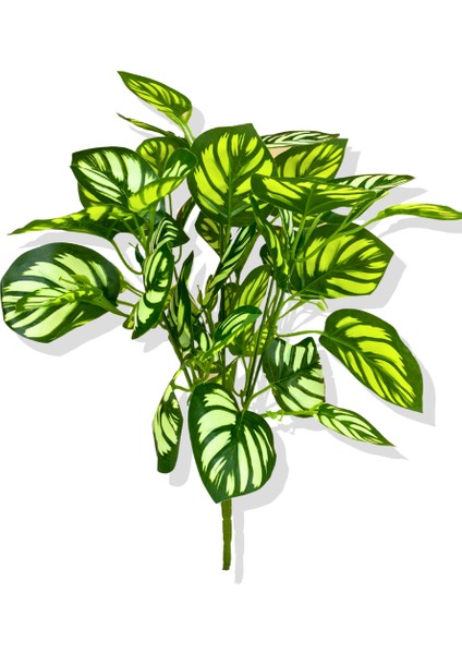 Salon Sarmaşığı Beyaz Yapay Bitki 45 cm 5 Dal fiyatları