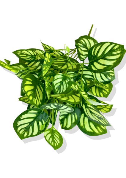 Salon Sarmaşığı Beyaz Yapay Bitki 45 cm 5 Dal modelleri