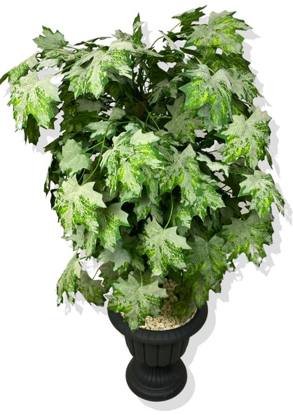 Yapay Akçağaç Yaprak Yeşil Çınar Ağacı 140 cm 35 cm Saksı