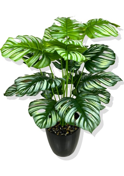 Beyaz Alacalı Monstera Mini Yapay Ağaç 85 cm 18 Dal Krem Saksı