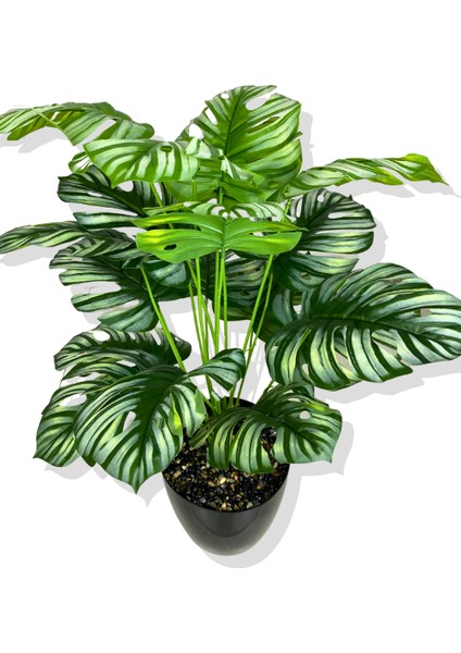 Beyaz Alacalı Monstera Mini Yapay Ağaç 85 cm 18 Dal Krem Saksı modelleri
