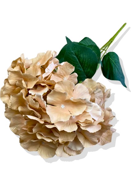 Yapay Krem Somon Ortanca Demeti 35 cm 5 Dal fırsatları