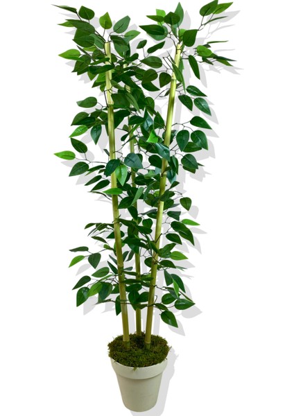 Yapay Yapraklı Benjamin 3 Bambu'lu 110 cm