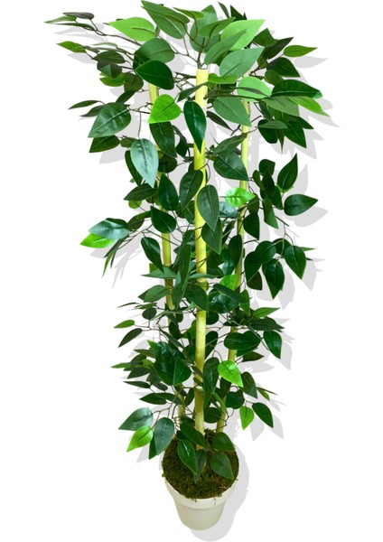 Yapay Yapraklı Benjamin 3 Bambu'lu 110 cm