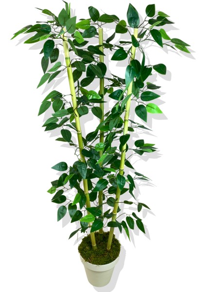 Yapay Yapraklı Benjamin 3 Bambu'lu 110 cm