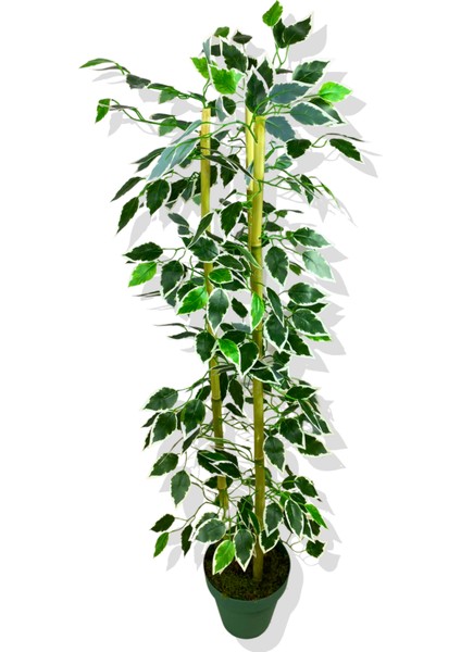 Yapay Yapraklı Fıcus 3 Bambu'lu 110 cm