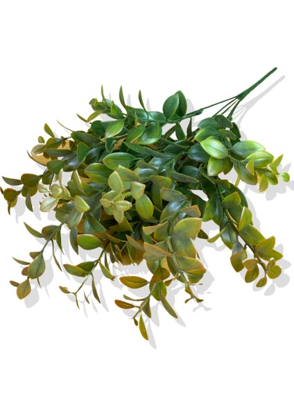 Yapay Turuncu Ruscus Bitkisi 40 cm 5 Dal