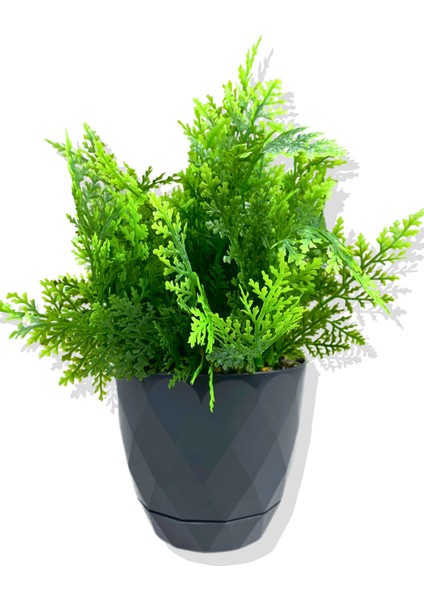 Yapay Mini Saksıda Yeşil Süs Yosunu 28 cm Antrasit Saksı