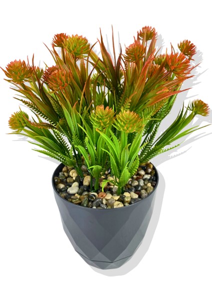 Yapay Mini Saksıda Kırmızı Devedikeni 28 cm Antrasit Saksı