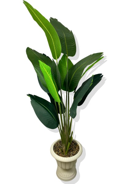 Starliçe 170 cm Yapay Ağaç Beyaz Nergis Saksı