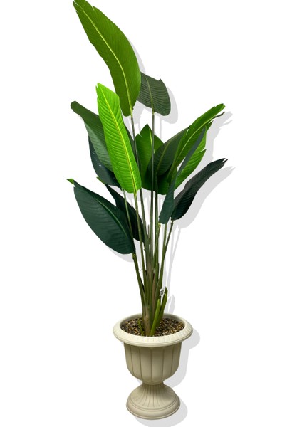 Starliçe 170 cm Yapay Ağaç Beyaz Nergis Saksı fiyatları