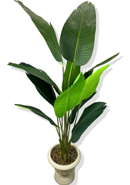 Starliçe 170 cm Yapay Ağaç Beyaz Nergis Saksı modelleri