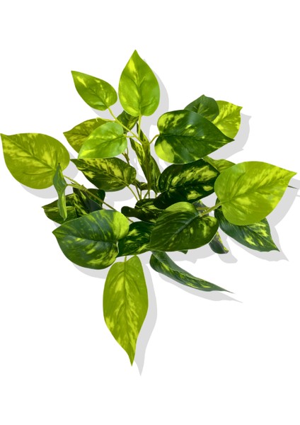 Yapay Sarı Detaylı Salon Sarmaşığı Demet 30 cm 7 Dal modelleri