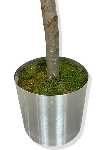 Somon Lüx Yonca Yaprak Bahar Dalı Yapay Ağaç 180 cm 30X30 Metal Saksı fırsatları