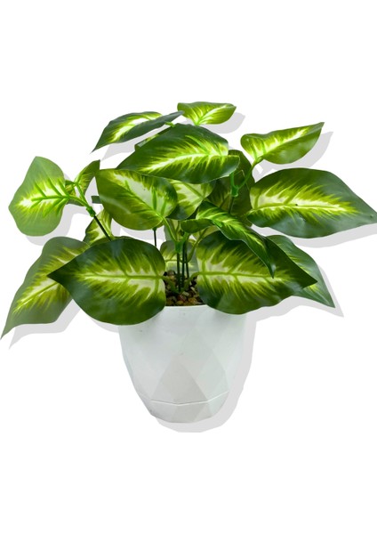 Yapay Mini Saksıda Salon Bitkisi 28 cm Beyaz Saksı