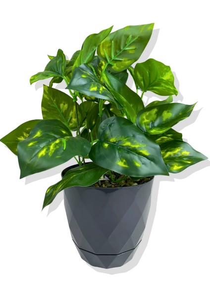 Yapay Mini Saksıda Salon Sarmaşığı 28 cm Antrasit Saksı