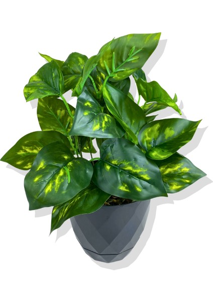 Yapay Mini Saksıda Salon Sarmaşığı 28 cm Antrasit Saksı fiyatları