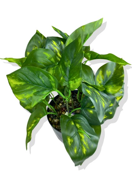 Yapay Mini Saksıda Salon Sarmaşığı 28 cm Antrasit Saksı modelleri